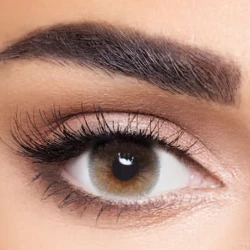 Anesthesia Contact Lenses New York- Olive Monthly