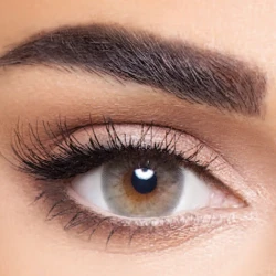 Anesthesia Contact Lenses Vegas Gray Monthly