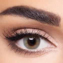 Anesthesia Coloured Contact Lenses Addict Gray