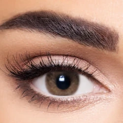 Anesthesia Contact Lenses Anesthatic Tan Monthly