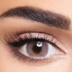 Anesthesia- Contact Lenses- Usa Chicago Apricot Monthly