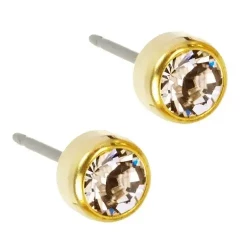 Blomdahl Earrings Bezel 6Mm Crystal Gt