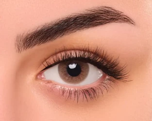 Fresheyes Daily Lens Cinnimon