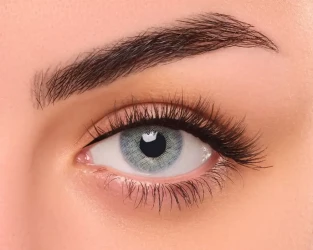 Fresheyes Daily Lens Navy