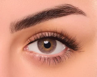 Fresheyes Daily Lens Rose