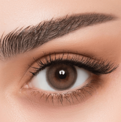Afle Daily Soft Contact Lenses - Palm