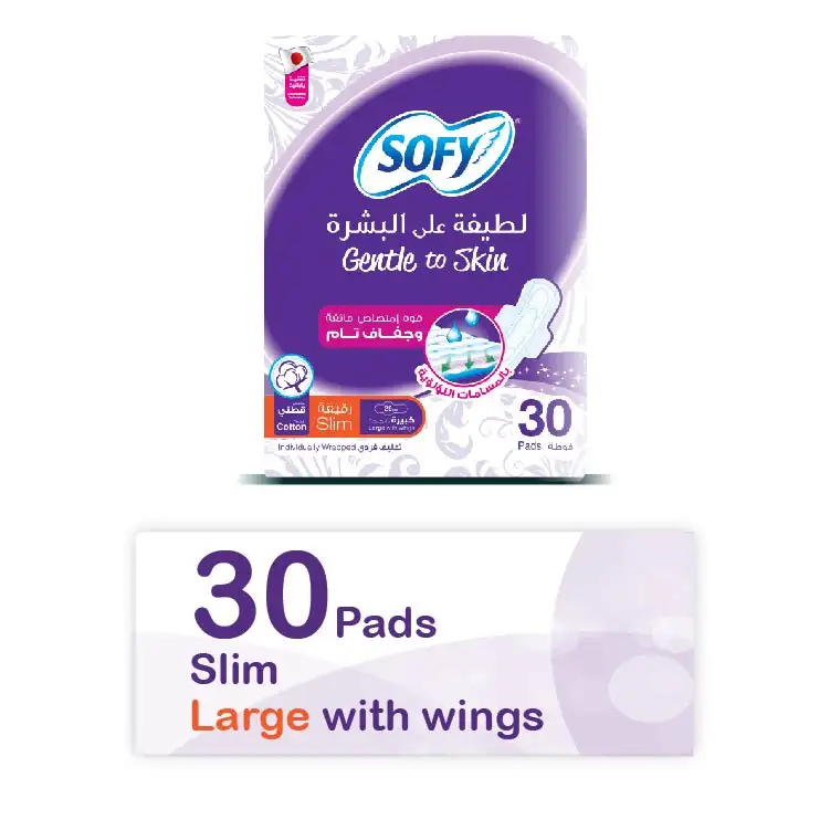 Sofy Gentle To Skin Large Pad 29 Cm 30 Pads